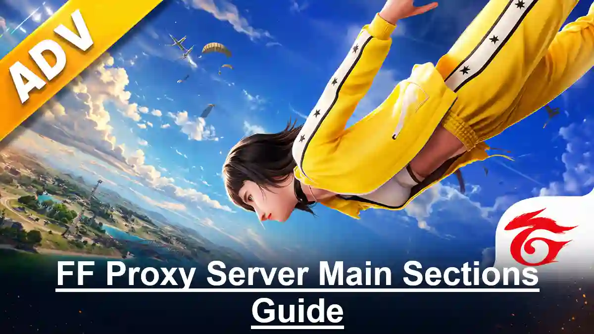 FF Proxy Server Main Sections Guide